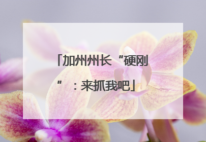 加州州长“硬刚”：来抓我吧
