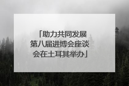 助力共同发展 第八届进博会座谈会在土耳其举办