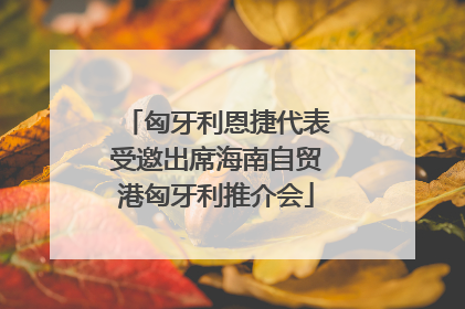 匈牙利恩捷代表受邀出席海南自贸港匈牙利推介会