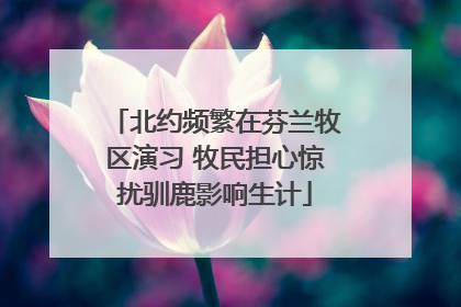 北约频繁在芬兰牧区演习 牧民担心惊扰驯鹿影响生计