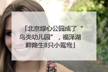 北京绿心公园成了“鸟类幼儿园”，福泽湖畔降生8只小鸳鸯