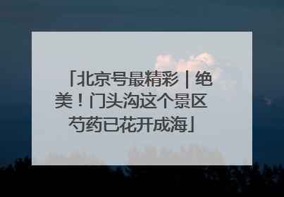北京号最精彩｜绝美！门头沟这个景区芍药已花开成海