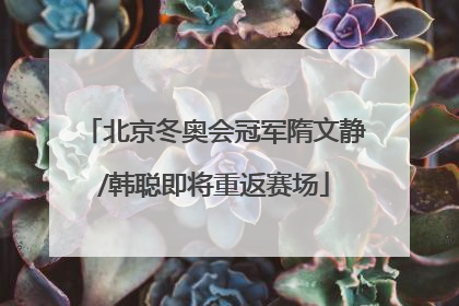 北京冬奥会冠军隋文静/韩聪即将重返赛场