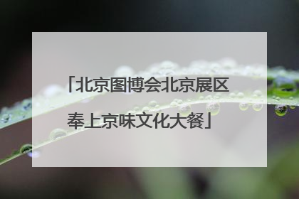 北京图博会北京展区奉上京味文化大餐