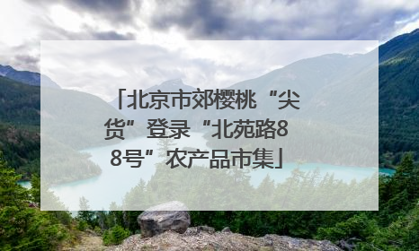 北京市郊樱桃“尖货”登录“北苑路88号”农产品市集