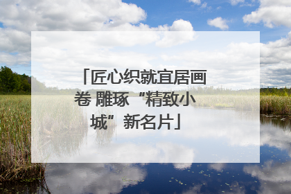 匠心织就宜居画卷 雕琢“精致小城”新名片