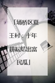 埇桥区夏王村：十年耕耘结出富民瓜