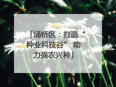 埇桥区：打造“种业科技谷” 助力强农兴种