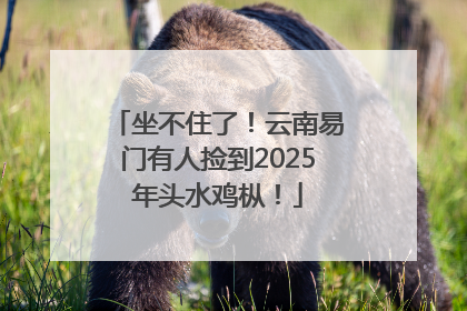 坐不住了！云南易门有人捡到2025年头水鸡枞！