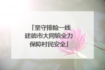 坚守排险一线 建德市大同镇全力保障村民安全