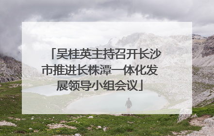 吴桂英主持召开长沙市推进长株潭一体化发展领导小组会议