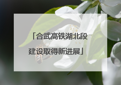 合武高铁湖北段建设取得新进展