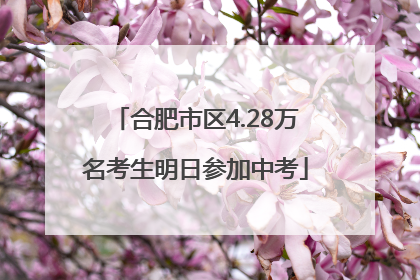 合肥市区4.28万名考生明日参加中考