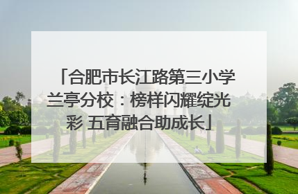 合肥市长江路第三小学兰亭分校：榜样闪耀绽光彩 五育融合助成长