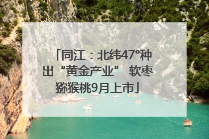 同江：北纬47°种出“黄金产业” 软枣猕猴桃9月上市