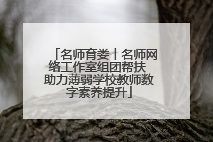 名师育娄丨名师网络工作室组团帮扶 助力薄弱学校教师数字素养提升