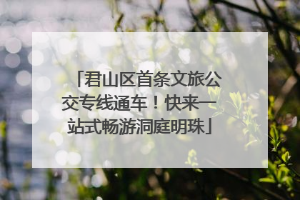 君山区首条文旅公交专线通车！快来一站式畅游洞庭明珠
