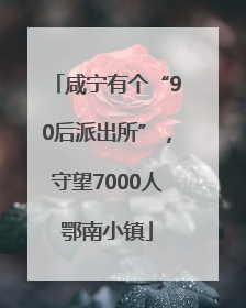 咸宁有个“90后派出所”，守望7000人鄂南小镇