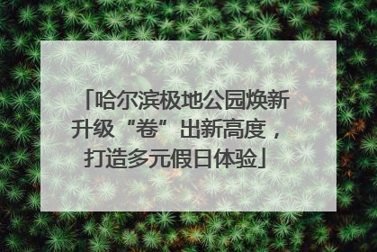 哈尔滨极地公园焕新升级“卷”出新高度，打造多元假日体验