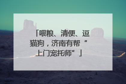 喂粮、清便、逗猫狗，济南有帮“上门宠托师”