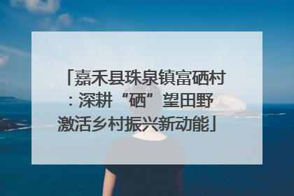 嘉禾县珠泉镇富硒村：深耕“硒”望田野 激活乡村振兴新动能