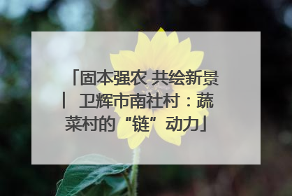 固本强农 共绘新景 ︳卫辉市南社村：蔬菜村的“链”动力