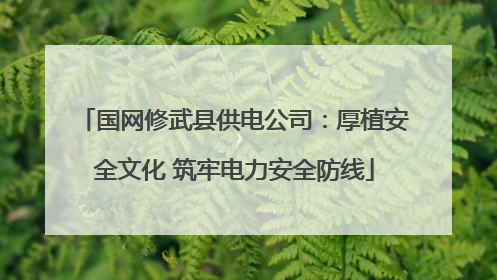 国网修武县供电公司：厚植安全文化 筑牢电力安全防线