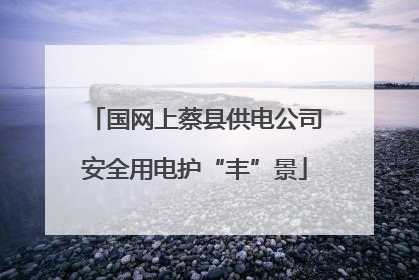 国网上蔡县供电公司安全用电护“丰”景