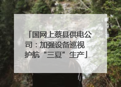 国网上蔡县供电公司：加强设备巡视 护航“三夏”生产