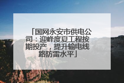 国网永安市供电公司：迎峰度夏工程按期投产，提升输电线路防雷水平