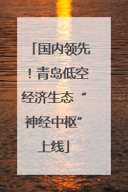 国内领先！青岛低空经济生态“神经中枢”上线
