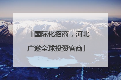 国际化招商，河北广邀全球投资客商