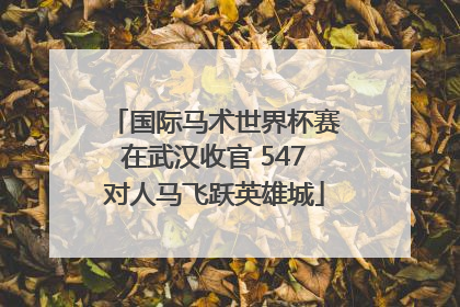国际马术世界杯赛在武汉收官 547对人马飞跃英雄城