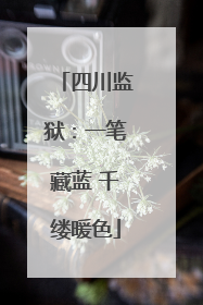 四川监狱：一笔藏蓝 千缕暖色