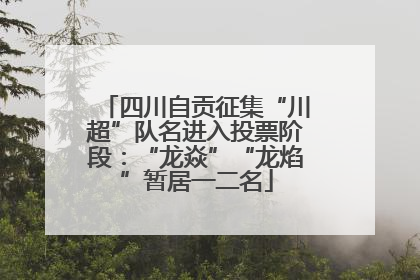 四川自贡征集“川超”队名进入投票阶段：“龙焱”“龙焰”暂居一二名
