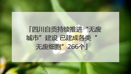 四川自贡持续推进“无废城市”建设 已建成各类“无废细胞”266个