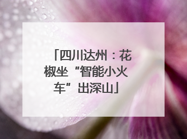 四川达州：花椒坐“智能小火车”出深山