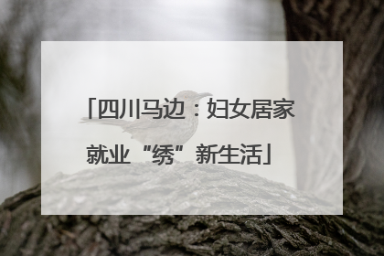四川马边：妇女居家就业“绣”新生活