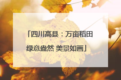 四川高县：万亩稻田绿意盎然 美景如画