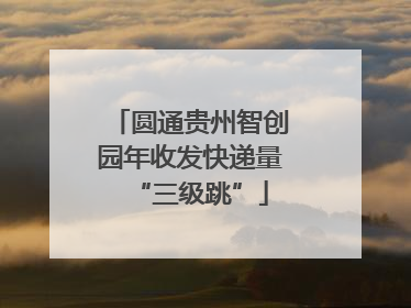 圆通贵州智创园年收发快递量“三级跳”