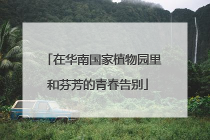 在华南国家植物园里和芬芳的青春告别