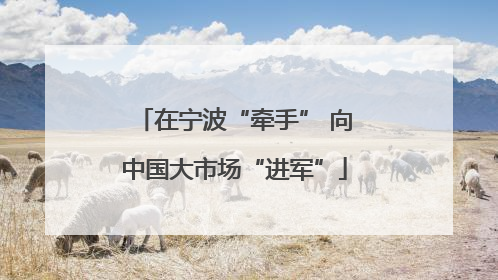 在宁波“牵手” 向中国大市场“进军”