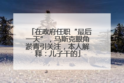 在政府任职“最后一天”，马斯克眼角淤青引关注，本人解释：儿子干的