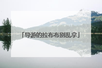导游的拉布布别乱拿