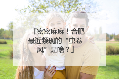 密密麻麻！合肥最近频现的“虫卷风”是啥？