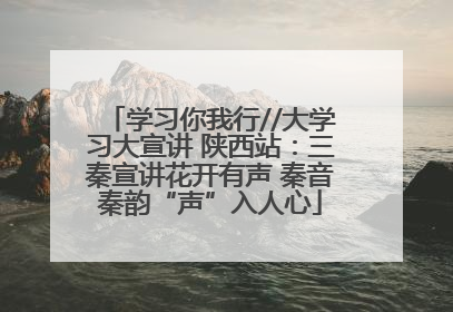 学习你我行//大学习大宣讲 陕西站：三秦宣讲花开有声 秦音秦韵“声”入人心