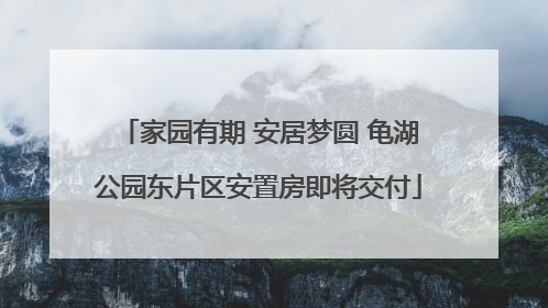 家园有期 安居梦圆 龟湖公园东片区安置房即将交付