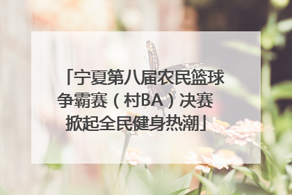 宁夏第八届农民篮球争霸赛（村BA）决赛掀起全民健身热潮