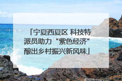 宁夏西夏区 科技特派员助力“紫色经济”酿出乡村振兴新风味