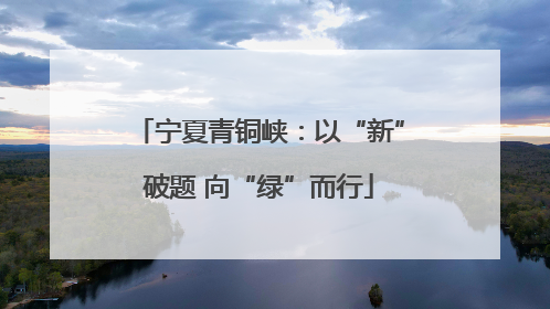 宁夏青铜峡：以“新”破题 向“绿”而行